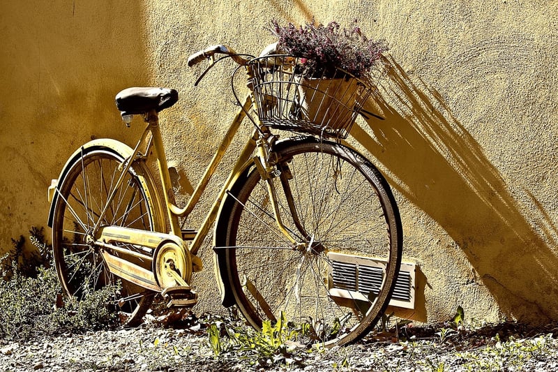 Cycling through nature